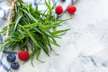 Similar image 13155239