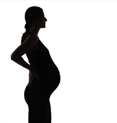 Similar image 13172274