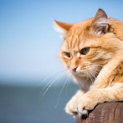 Similar image 13155373