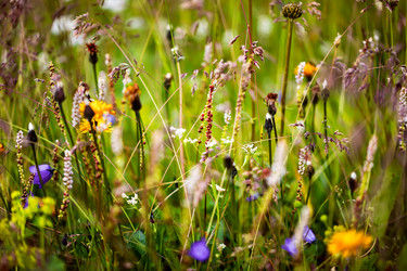 Similar image 13164267