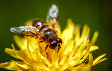 Similar image 13164271