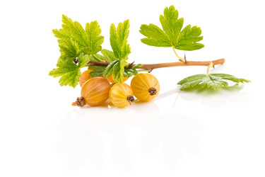 Similar image 13172943