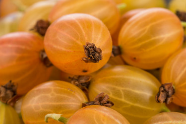 Similar image 13172956