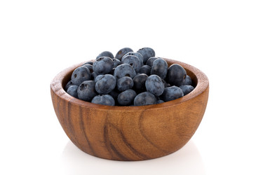 Similar image 13172963