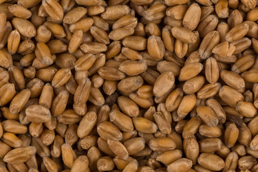 Similar image 13173001