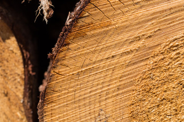 Similar image 13173045