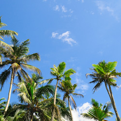 Similar image 13161613