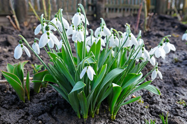 Similar image 13161621