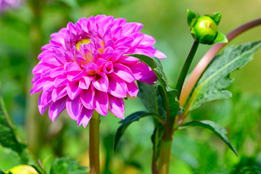 Similar image 13161624