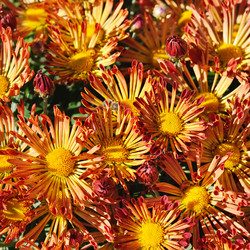 Similar image 13161627