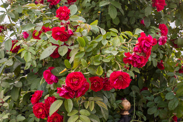 Similar image 13163619