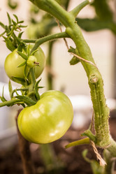 Similar image 13163622