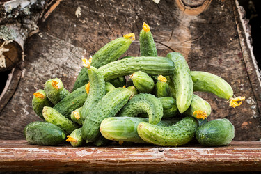 Similar image 13163624