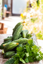 Similar image 13163625