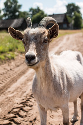 Similar image 13163628