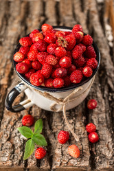 Similar image 13163636