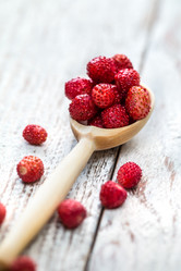 Similar image 13163638