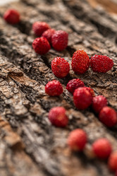 Similar image 13163639