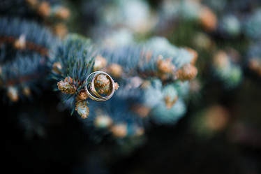 Similar image 13157357