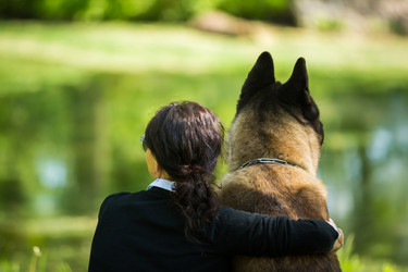 Similar image 13157362