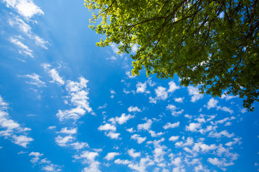 Similar image 13157365