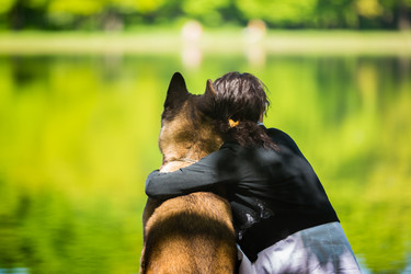 Similar image 13157366