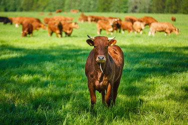 Similar image 13157369