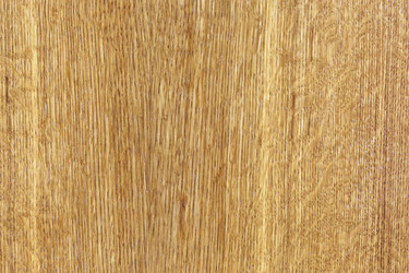 Similar image 13163893