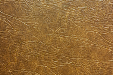 Similar image 13163894