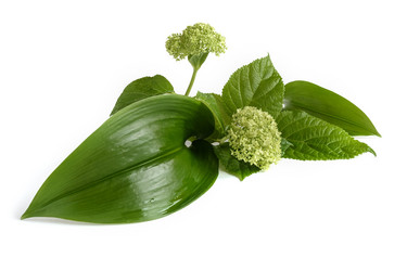 Similar image 13159905