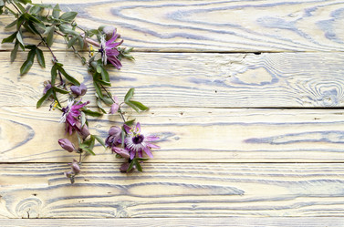 Similar image 13161649