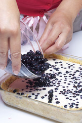 Similar image 13161895