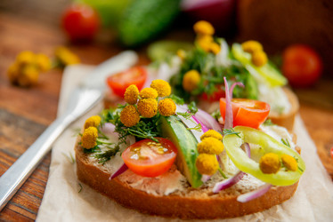 Similar image 13179782