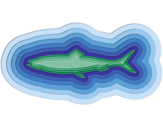 Similar image 13158385