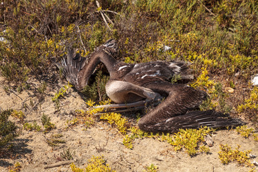 Similar image 13170294