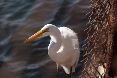 Similar image 13170297