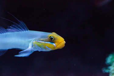 Similar image 13163135