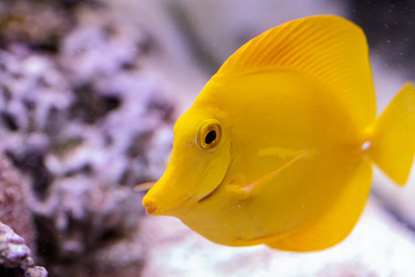 Similar image 13163140