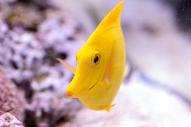 Similar image 13163142