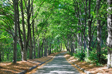 Similar image 13166043