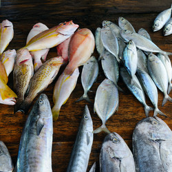 Similar image 13166053