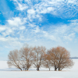 Similar image 13166055