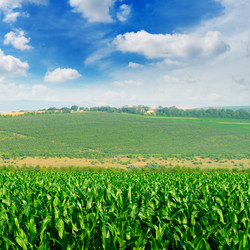 Similar image 13166056