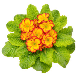 Similar image 13166057