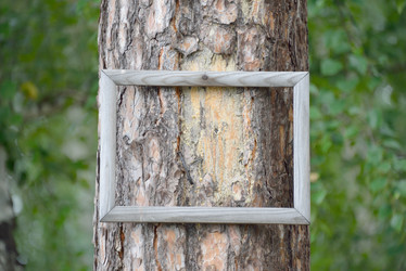 Similar image 13165908