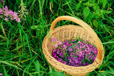 Similar image 13180447