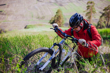 Similar image 13169274