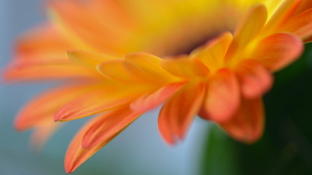 Similar image 13165911