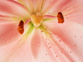 Similar image 13161867