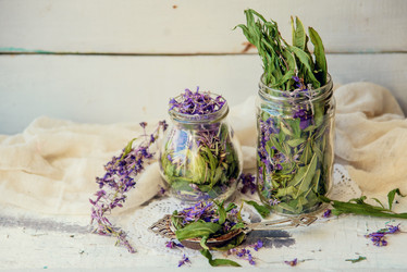 Similar image 13180826